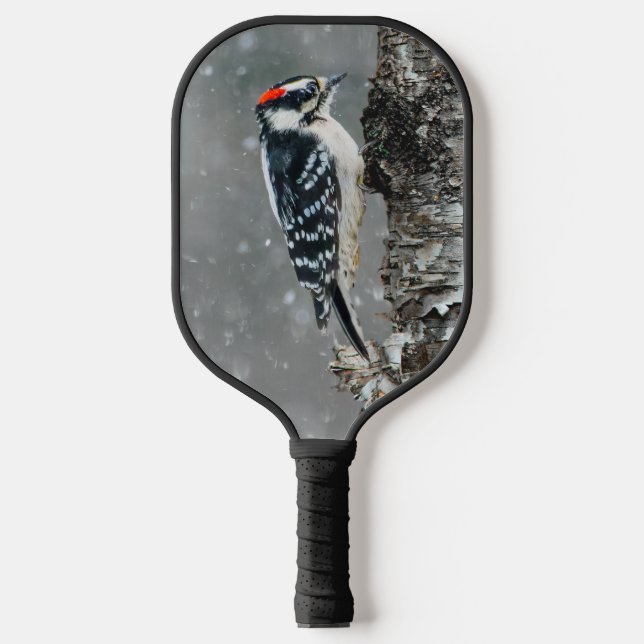 Raquette De Pickleball Pic Downy en neige - Photo originale (Recto)