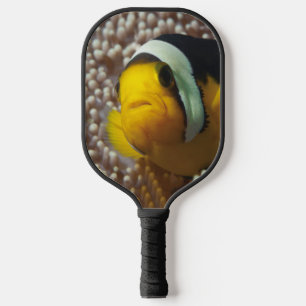 Raquette De Pickleball Poisson-clown - Gros plan ! Tellement mignon - Nem