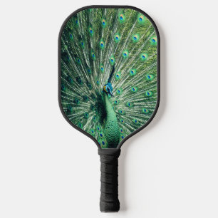 Raquette De Pickleball Strut Peacock