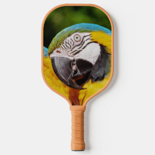 Raquette De Pickleball Tête d'un Macaw bleu et jaune
