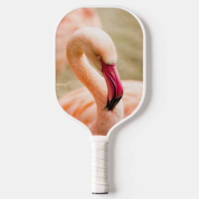 Raquette De Pickleball Un Beau Flamant rose Rose (Recto)