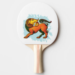 RAQUETTE DE PING PONG 