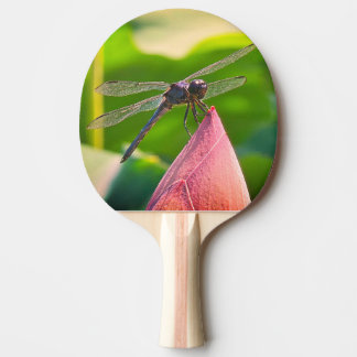 Raquette De Ping Pong A Slaty Skimmer dragonfly
