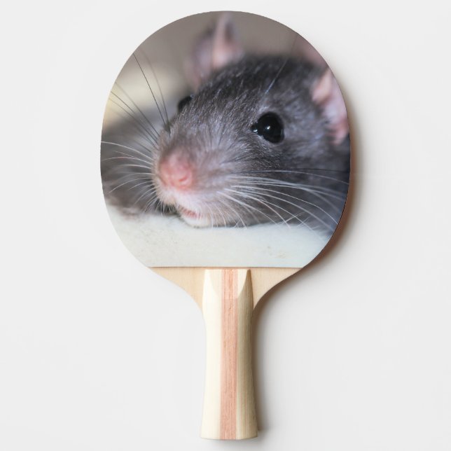 Raquette De Ping Pong Adorable (Devant)