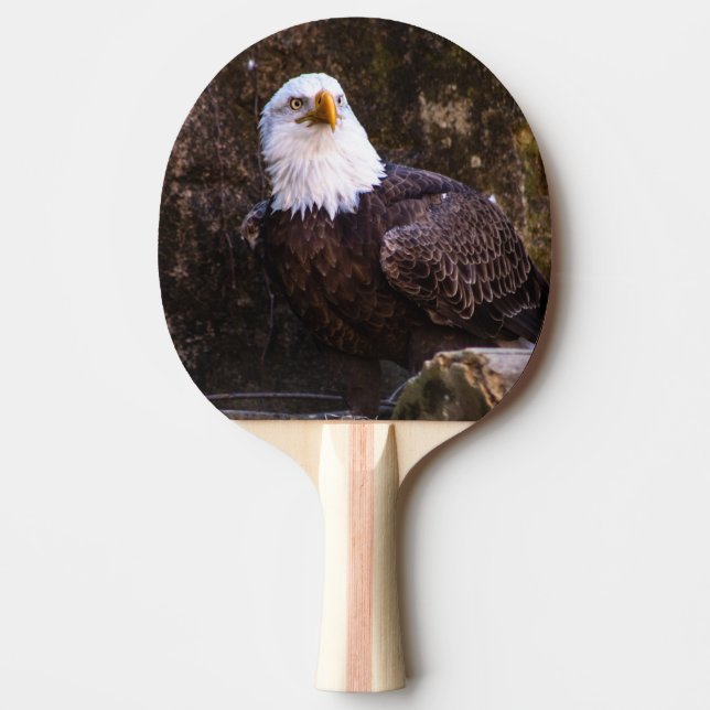 Raquette De Ping Pong Aigle de Bald (Devant)