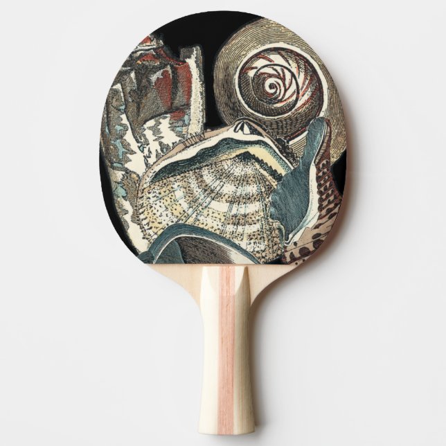 Raquette De Ping Pong Anthologie des coquillages (Devant)