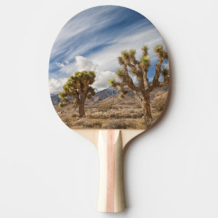 Raquette De Ping Pong Arbres de Joshua dans le désert
