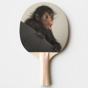 Raquette De Ping Pong Ateles paniscus à tête rouge)
