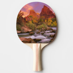 Raquette De Ping Pong Aube grande