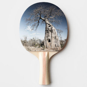 Raquette De Ping Pong Baobab dans le parc national des piscines de Mana,