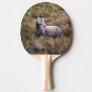 Raquette De Ping Pong Beau Cheval gris coloré