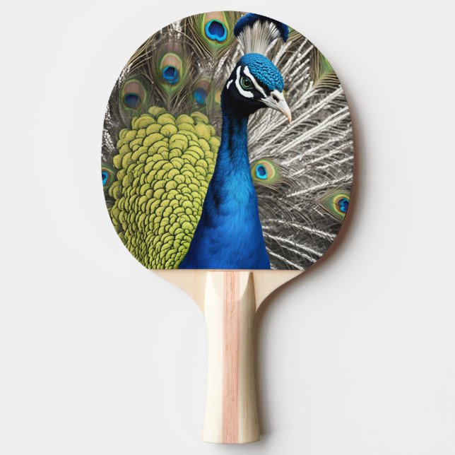 Raquette De Ping Pong Beau Peacock (Devant)