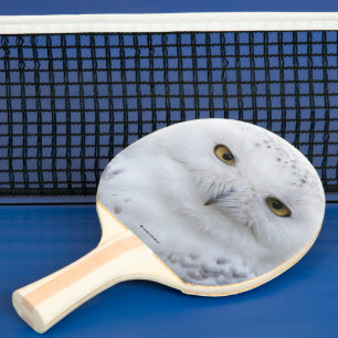 Raquette De Ping Pong Belle, Dreamy et Serene Snowy Owl
