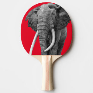 Raquette De Ping Pong Bulle - Dessin au crayon