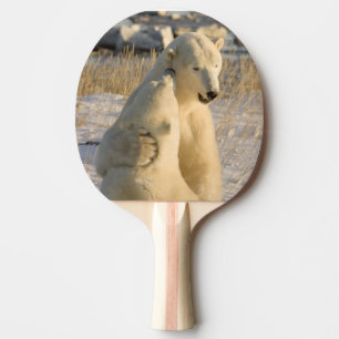 Raquette De Ping Pong Canada, Manitoba, baie d'Hudson, Churchill.