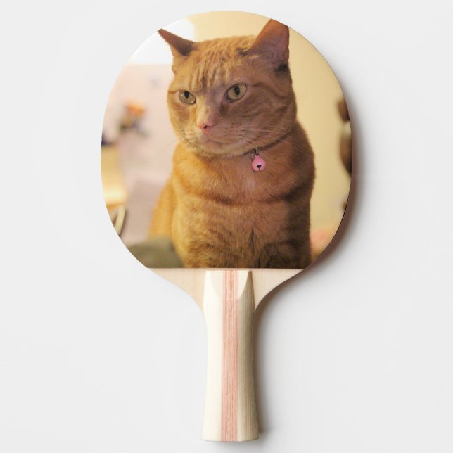 Raquette De Ping Pong Chat (Devant)