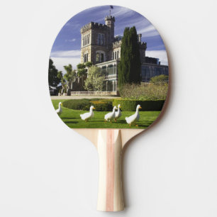 Raquette De Ping Pong Château de Larnach, péninsule d'Otago, Dunedin,
