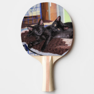 Raquette De Ping Pong Chatons