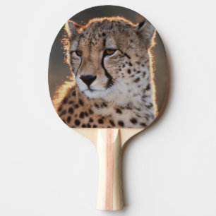 Raquette De Ping Pong Cheetah regarde loin