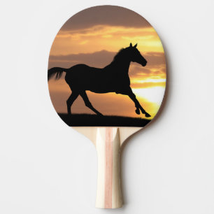 Raquette De Ping Pong Cheval dans le coucher du soleil