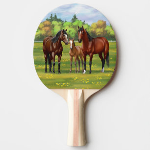 Raquette De Ping Pong Chevaux Du Quartier De La Baie Brown Dans Les Pâtu