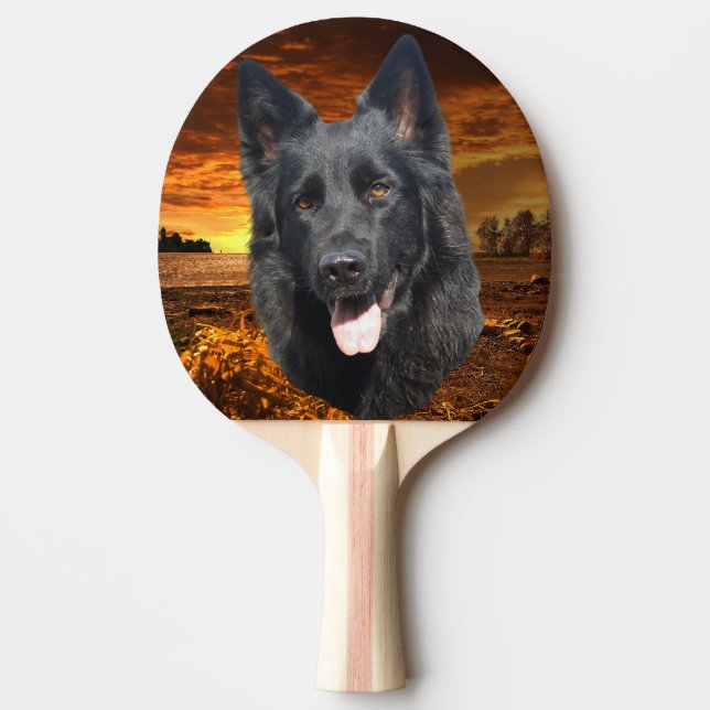 Raquette De Ping Pong Chien de berger (Devant)