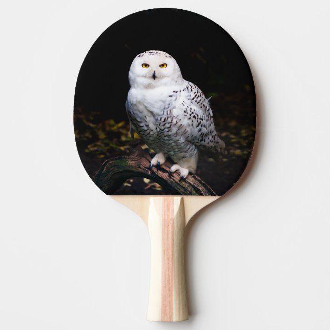 Raquette De Ping Pong Chouette hivernale majestueuse (Devant)
