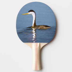 Raquette De Ping Pong Clark's Grebe Painting - Art original pour les ois