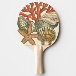 Raquette De Ping Pong Collection de vie marine