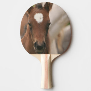 Raquette De Ping Pong Colt mignon