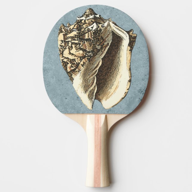 Raquette De Ping Pong Coque conique en pierre (Devant)