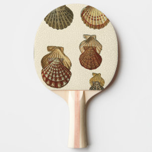 Raquette De Ping Pong Coquilles antiques crépitées