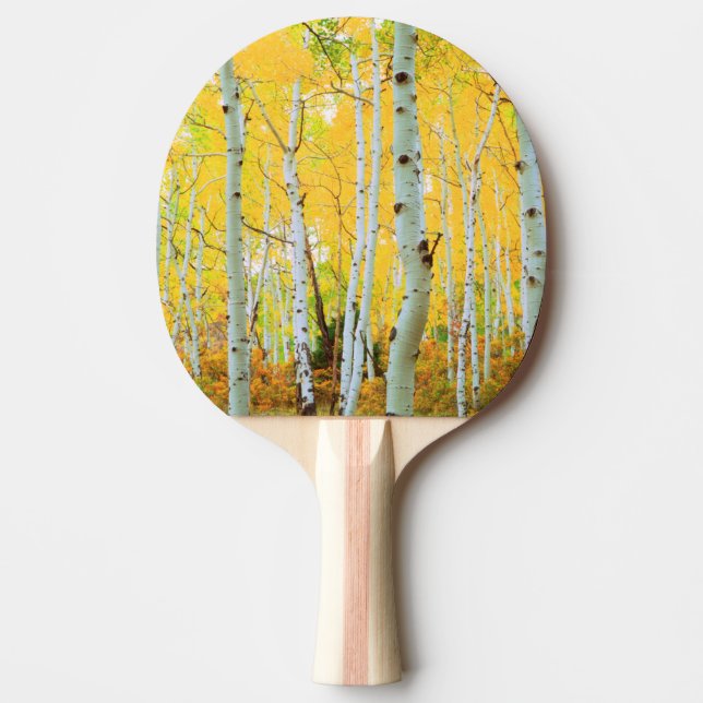 Raquette De Ping Pong Couleurs d'automne des arbres d'Aspen 1 (Devant)