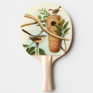 Raquette De Ping Pong Couples d'oiseau sur un nid été perché sur une