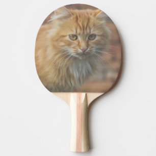 Raquette De Ping Pong Cute Funky Ginger Chat Kitten Visage