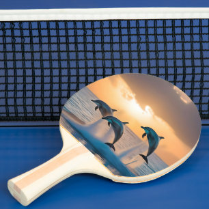 Raquette De Ping Pong Danse au crépuscule : Trois dauphins sautent