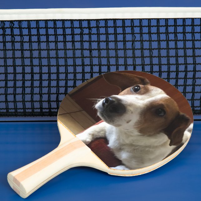 Raquette De Ping Pong de (Insitu)