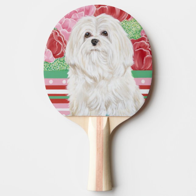 Raquette De Ping Pong Della Rose Maltese (Devant)