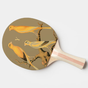 Raquette de Ping Pong – Design Canaris du Yorkshir