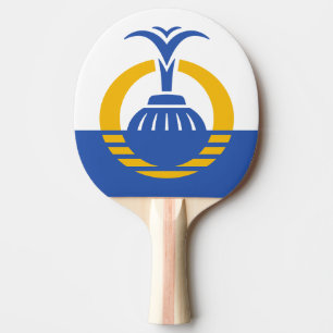 Raquette De Ping Pong Drapeau d'Orlando, Floride.