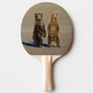 Raquette De Ping Pong États-Unis Alaska. Cubes d'ours Brown côtier