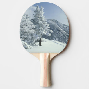 Raquette De Ping Pong États-Unis, NH, arbres couverts de neige Trails S
