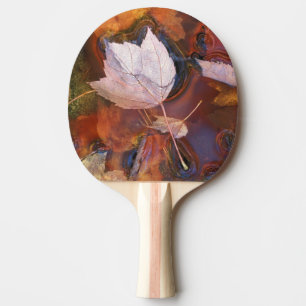 Raquette De Ping Pong États-Unis, Nord-Est, Feuilles d'automne dans une