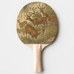 Raquette De Ping Pong Famille de Roe - Cerfs dans une forêt