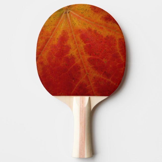 Raquette De Ping Pong Feuille d'érable rouge Abstraite Automne Photograp (Devant)