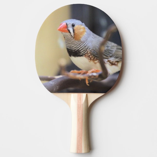 Raquette De Ping Pong Finch (Devant)
