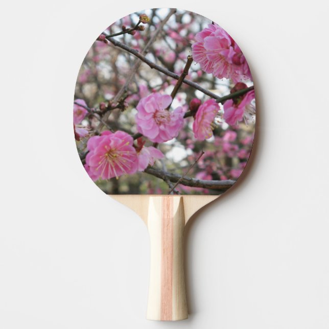 Raquette De Ping Pong Fleur de cerisier rose / Sakura / ク(桜) (Devant)