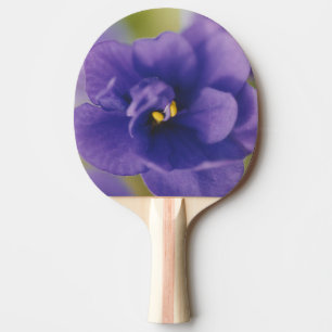 Raquette De Ping Pong Fleur de fleurs bleues de Violet Saintpaulia Zoomé