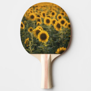 Raquette De Ping Pong France, Vaucluse, champ de tournesols