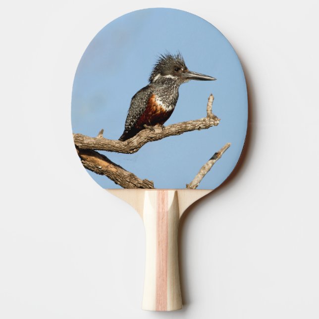 Raquette De Ping Pong Giant Kingfisher (Dos)